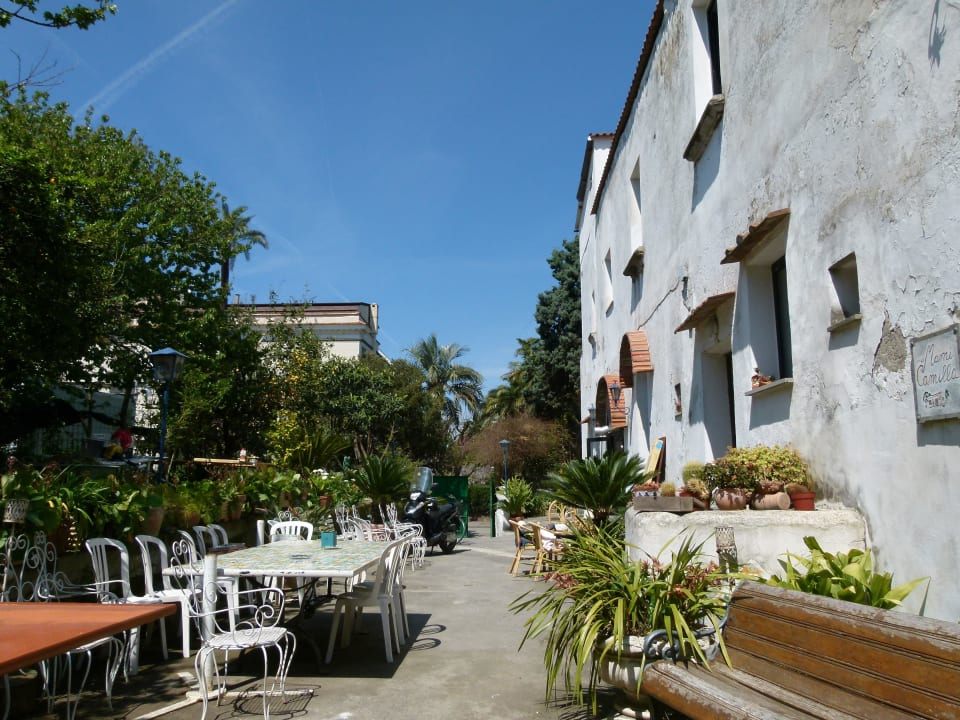 Die Zitronen dürfen gepflückt werden! Hotel Mami Camilla