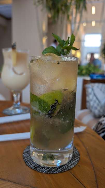 Gastro JAZ Elite Asteria