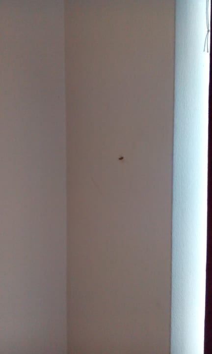 Zimmer Hotel Nevada Hamburg