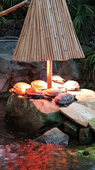 Sonstiges Center Parcs Park Hochsauerland