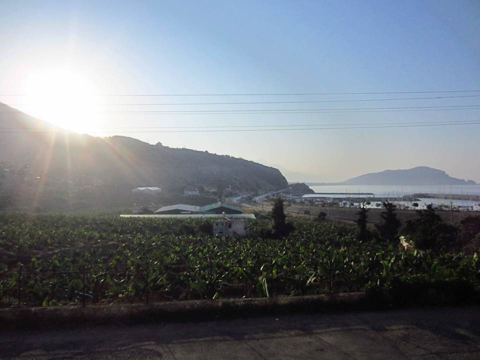 Ausblick von der Lobby La Finca Marina