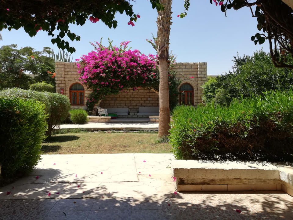 Außenansicht Aladdin Beach Resort