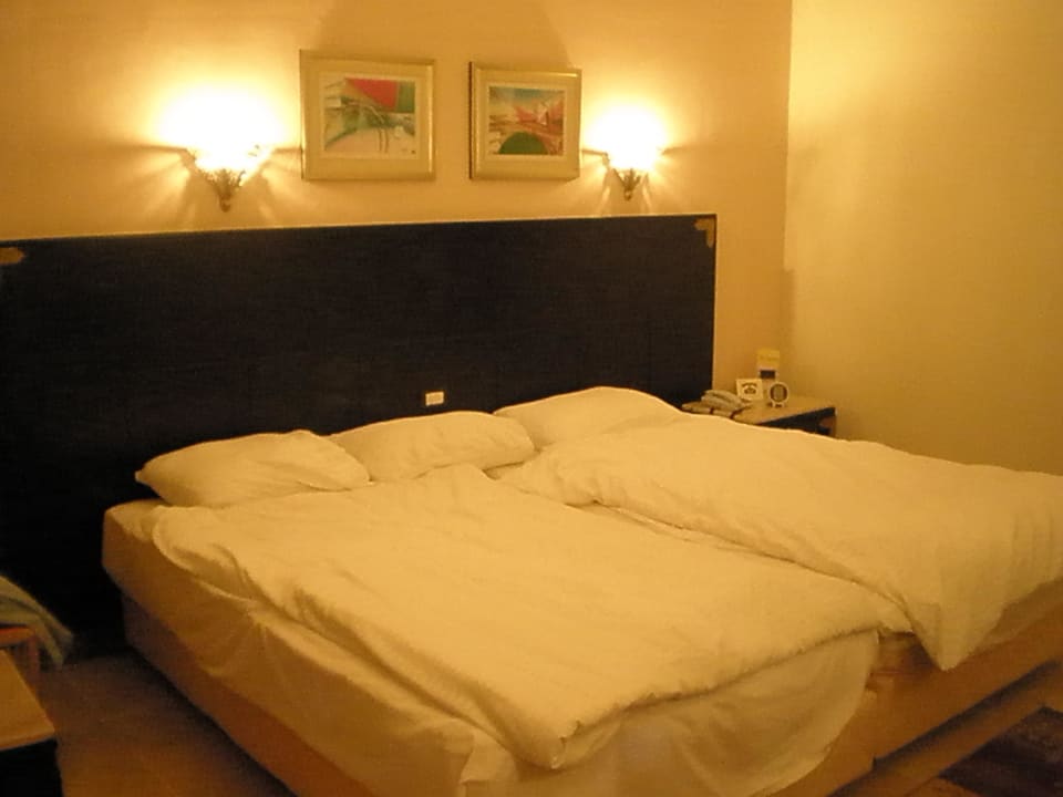 Zimmer Pickalbatros Palace Resort