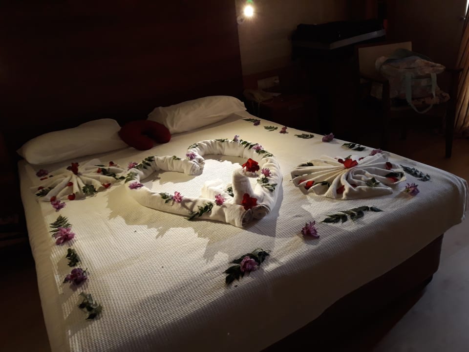 Zimmer Trendy Aspendos Beach Hotel