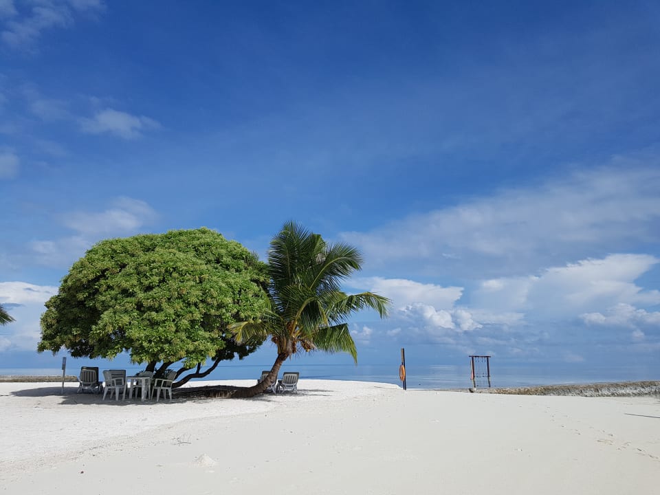 Ein tropisches Paradies Adaaran Select Hudhuran Fushi - Premium All Inclusive