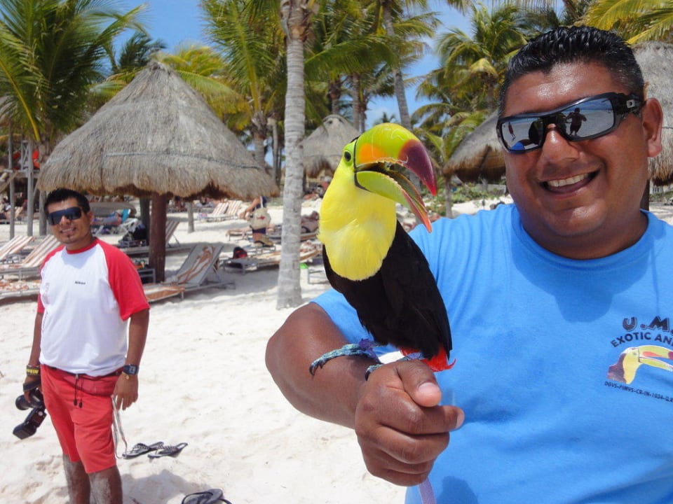 Fotograf Catalonia Royal Tulum Beach & Spa Resort - Adults only