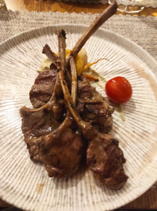 Gastro Acanthus Cennet Barut Collection