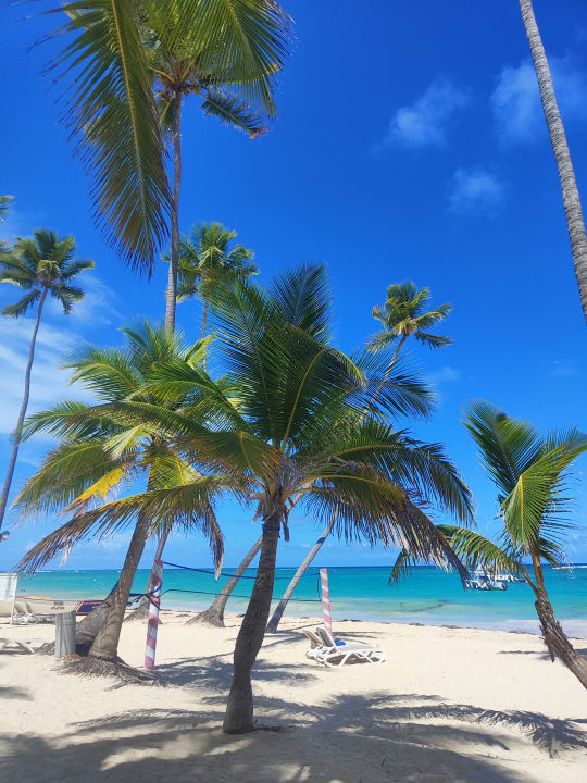 Strand Hotel Riu Palace Punta Cana