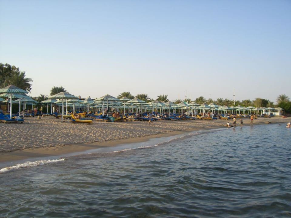 Strand in der Abenddämmerung Ghazala Gardens