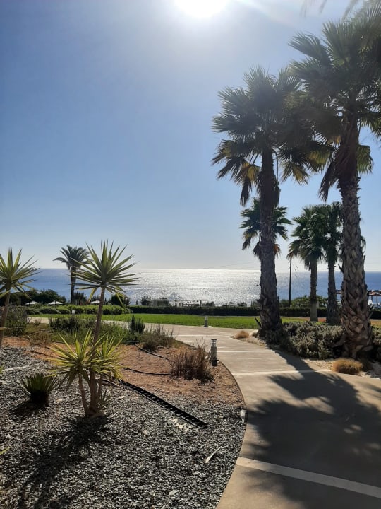 Ausblick Rodos Princess Beach Hotel & Spa