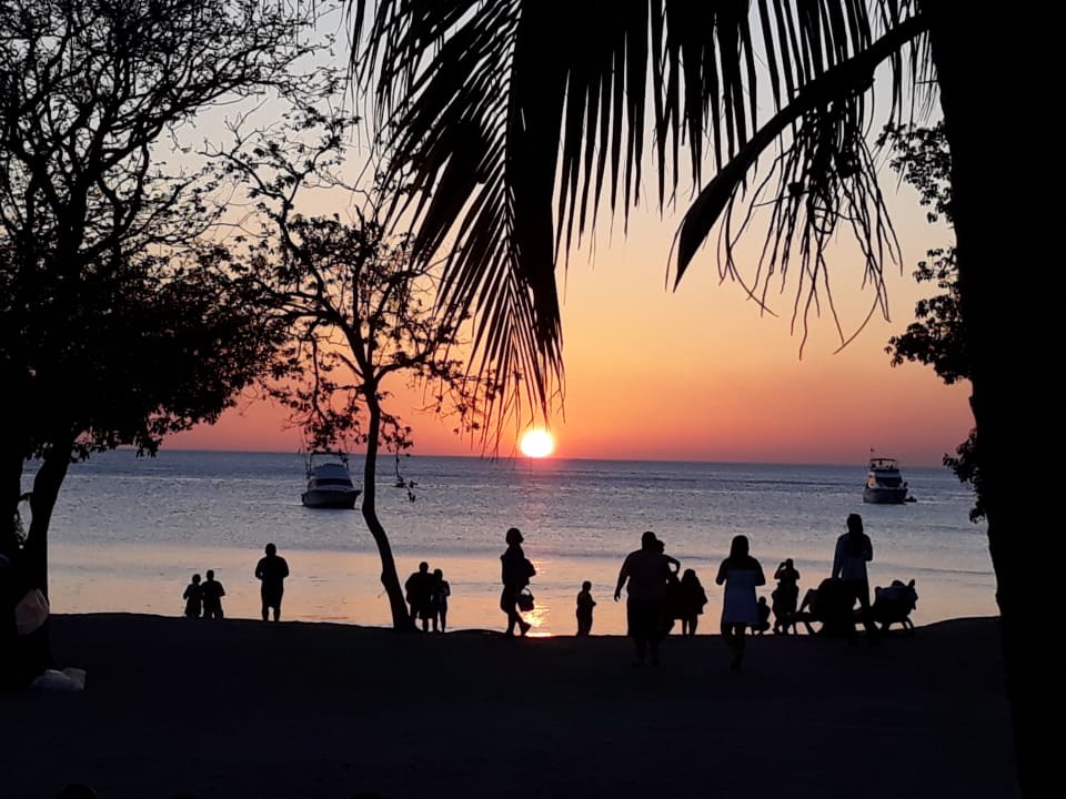 Strand Dreams Las Mareas Costa Rica