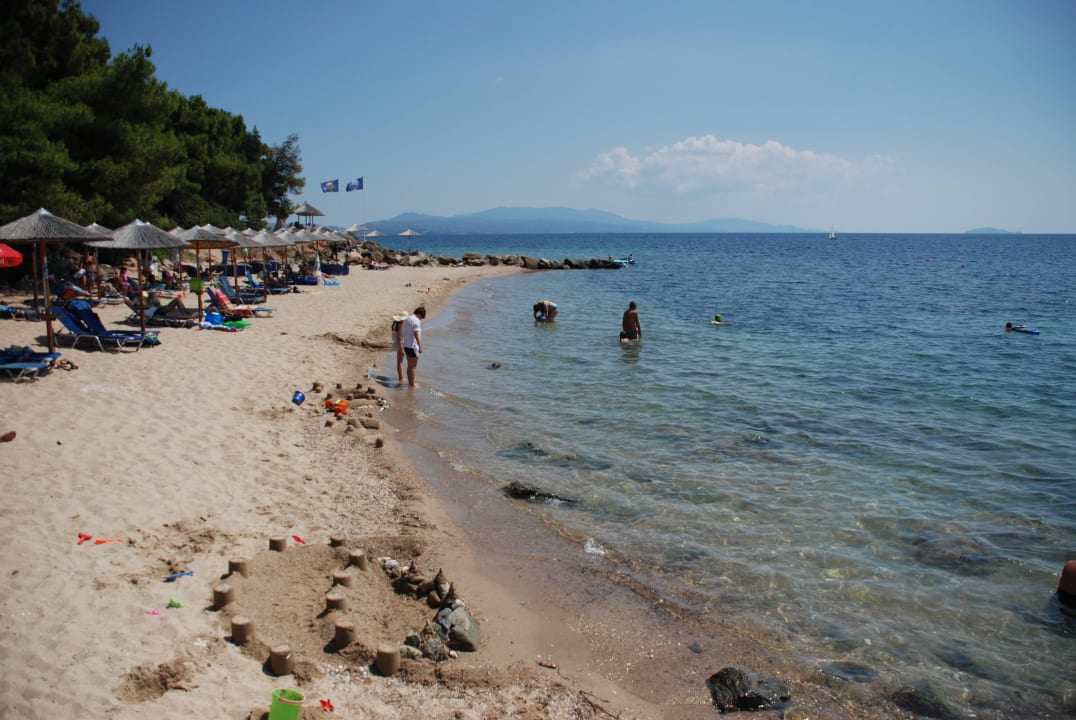 Strand in der Nähe der Poolbar Blue Dolphin Resort Hotel