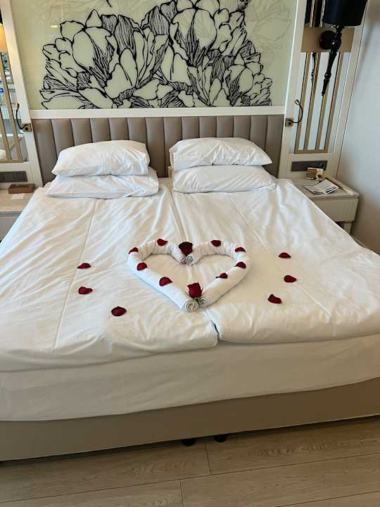 Zimmer Adalya Elite Lara