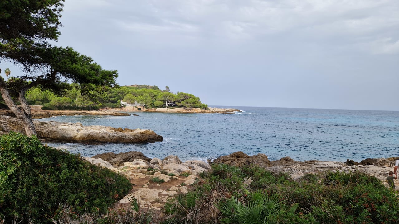 Strand Iberostar Waves Pinos Park