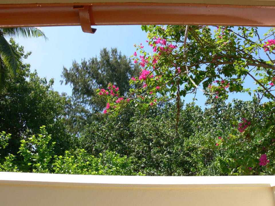 Im halboffenen Bad Vilamendhoo Island Resort & Spa