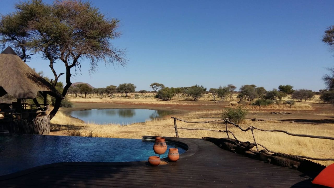 Infinitypool mit Blick zum Wasserloch Hotel Okonjima The Villa
