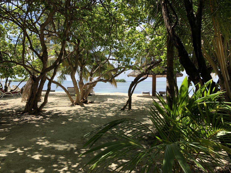 Gartenanlage Adaaran Select Hudhuran Fushi - Premium All Inclusive