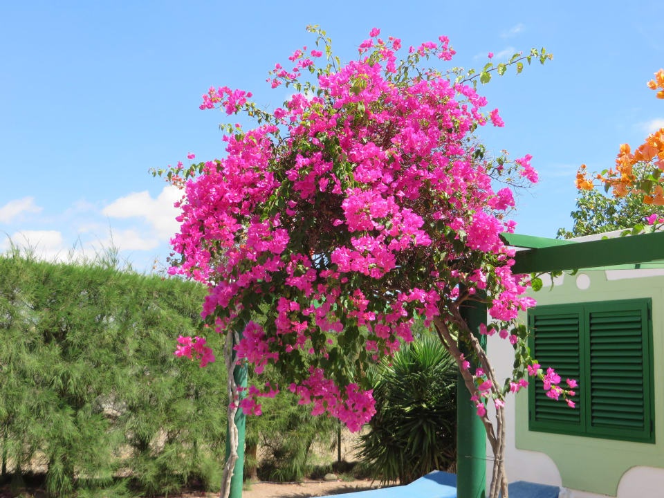 Bungalow Bungalows Cordial Sandy Golf