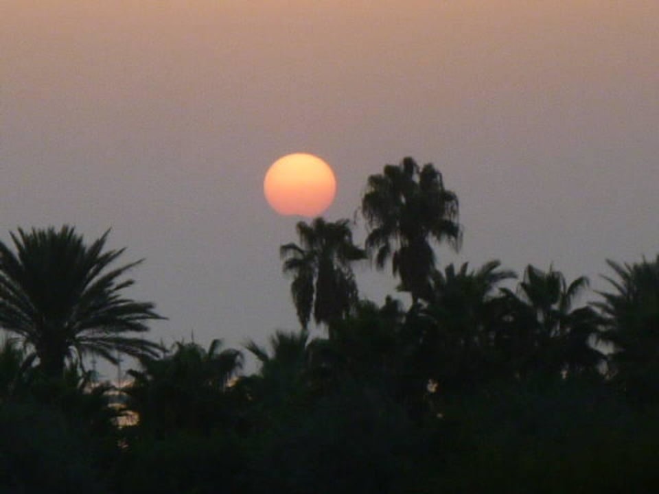 Sonnenuntergang bein Abendessen Paloma Oceana