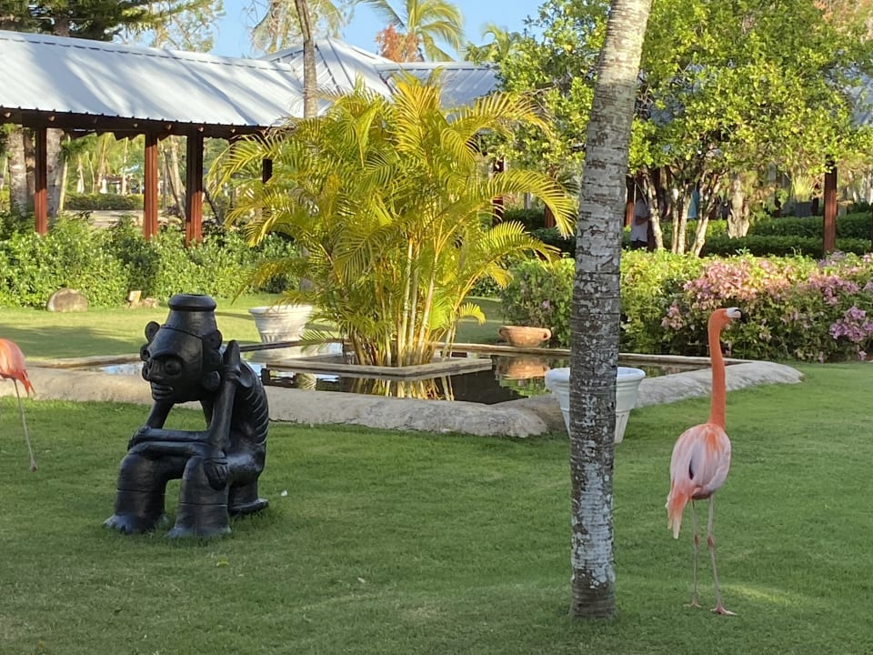 Gartenanlage Secrets La Romana Resort & Spa - Adult Only