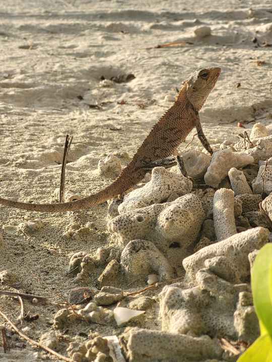 Sonstiges Adaaran Select Hudhuran Fushi - Premium All Inclusive