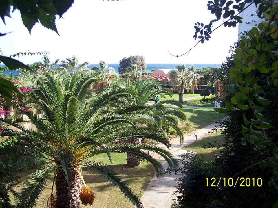 Palmengarten Anissa Beach & Village