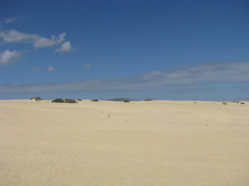 Sanddüne Marina Playa Suite Hotel