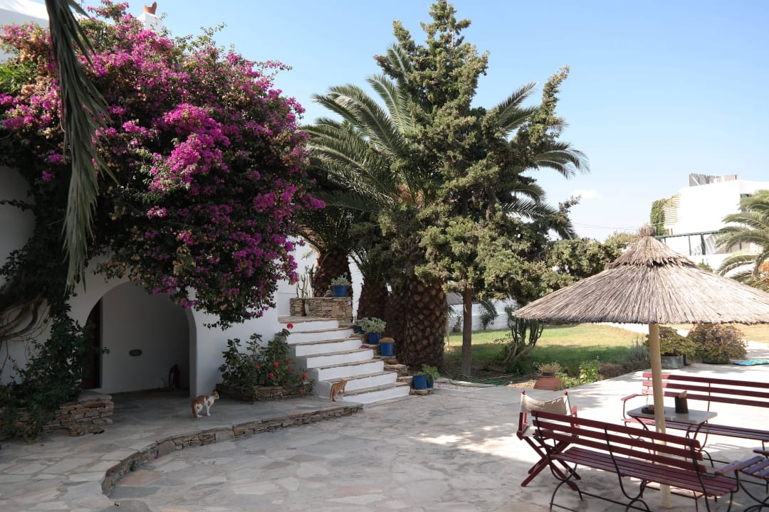 Wejście do hotelu Antonina Hotel