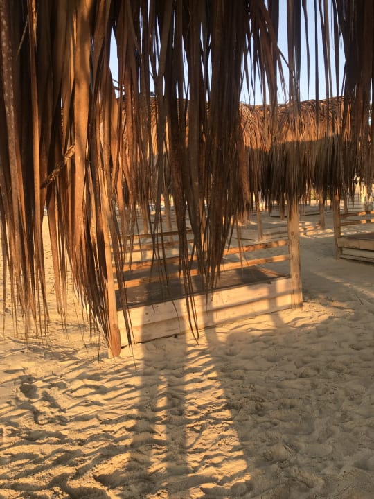 Strand Asterias Beach