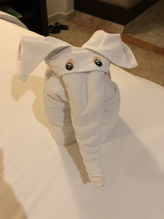 Zimmer Akumal Bay Beach & Wellness Resort