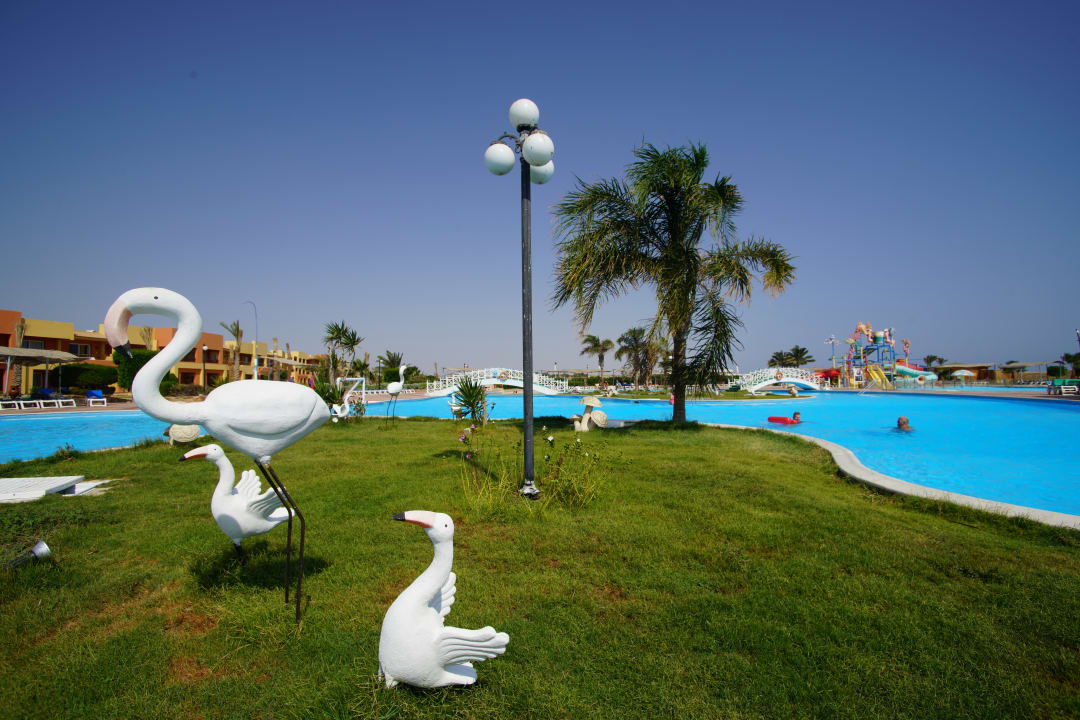 Pool Malikia Resort Abu Dabbab