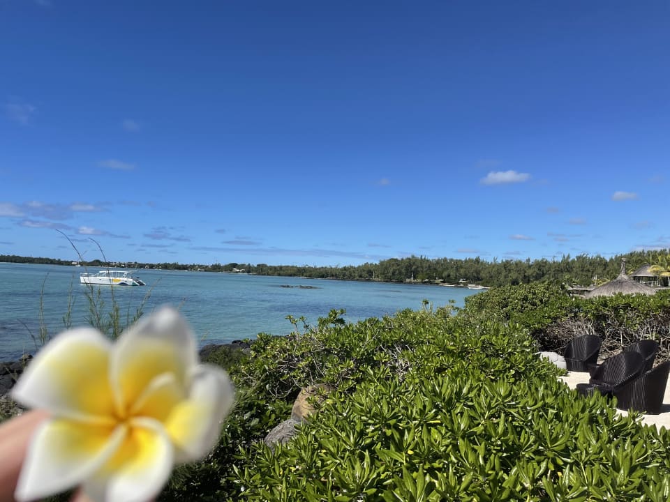 Strand Lagoon Attitude - Adults only