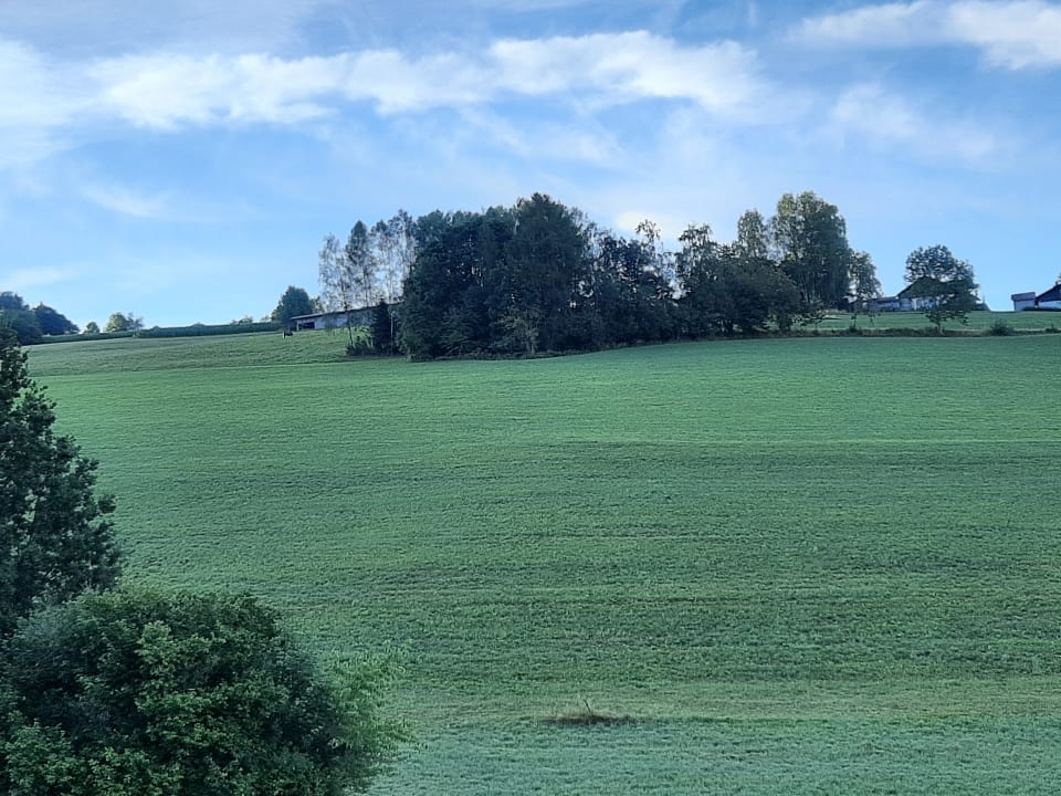 Ausblick Ferienwohnungen Brandl