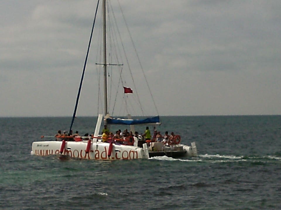 Mit diesen Katamaran auch zu gesichtete Delfine gesehen Hotel El Mouradi Djerba Menzel