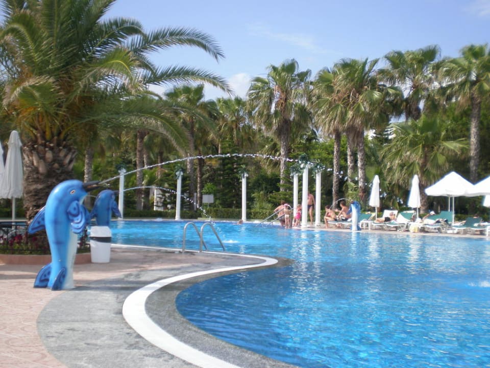Delphine rund um den Pool Botanik Hotel & Resort