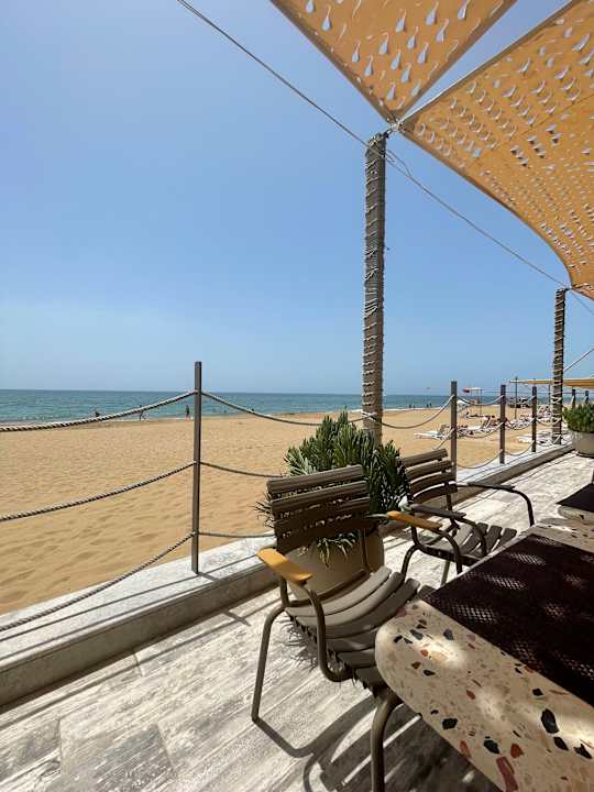 Strand Seashell Vega