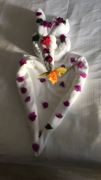 Zimmer Well Palace Side