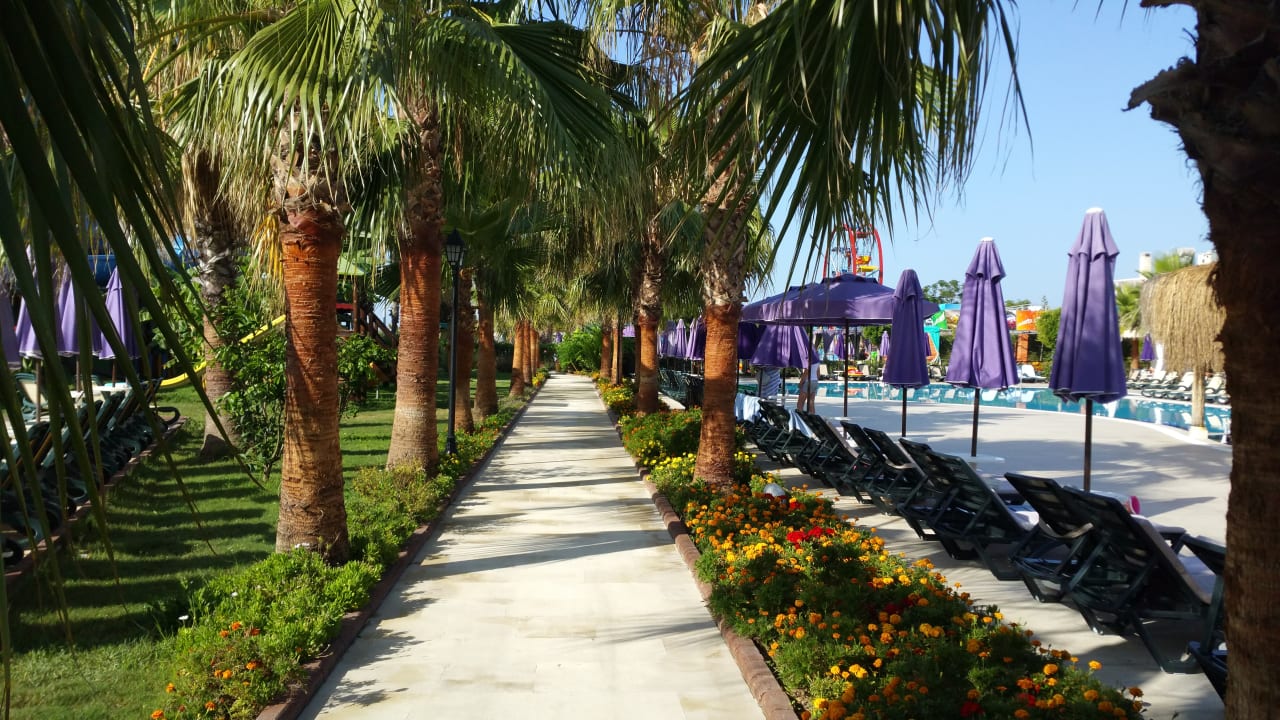 Gartenanlage Elegance East Hotel