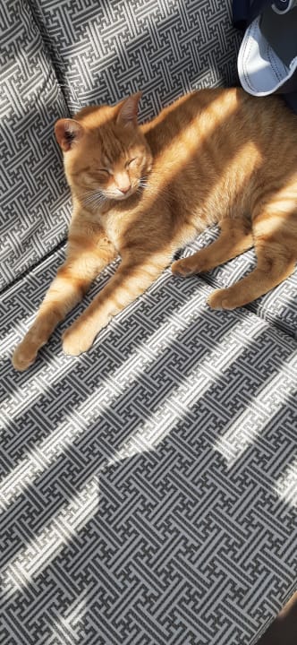 Sonstiges Seaden Quality Resort & Spa