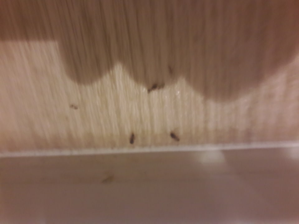 Zimmer HOVIMA La Pinta Beachfront Family Hotel