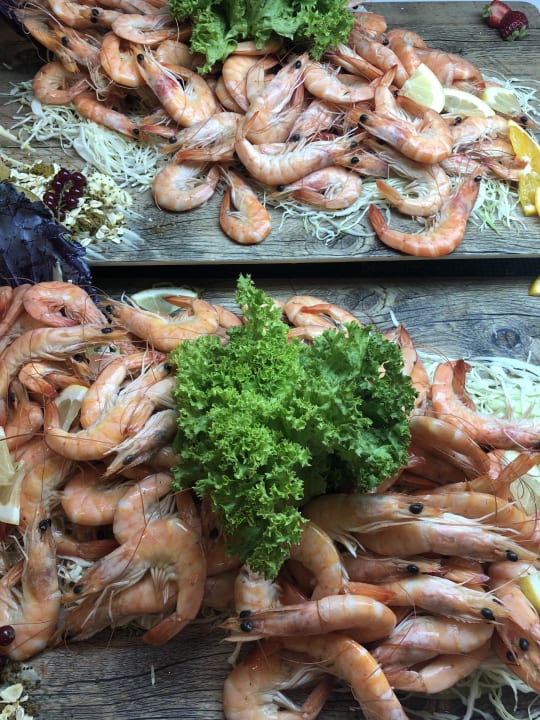 Gastro Iberostar Waves Playa de Muro