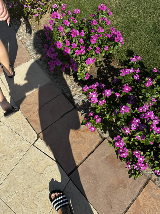 Gartenanlage Jasmine Palace Resort & Spa