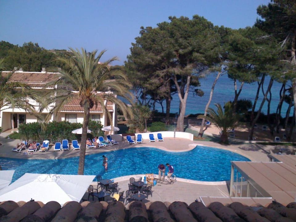 Pool und Meerblick Iberostar Waves Pinos Park