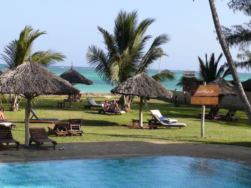 Liegewiese Neptune Palm Beach Boutique Resort & Spa