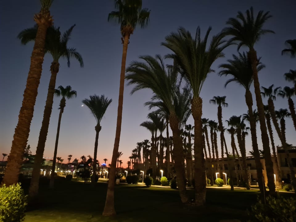 Ausblick Beach Albatros Resort