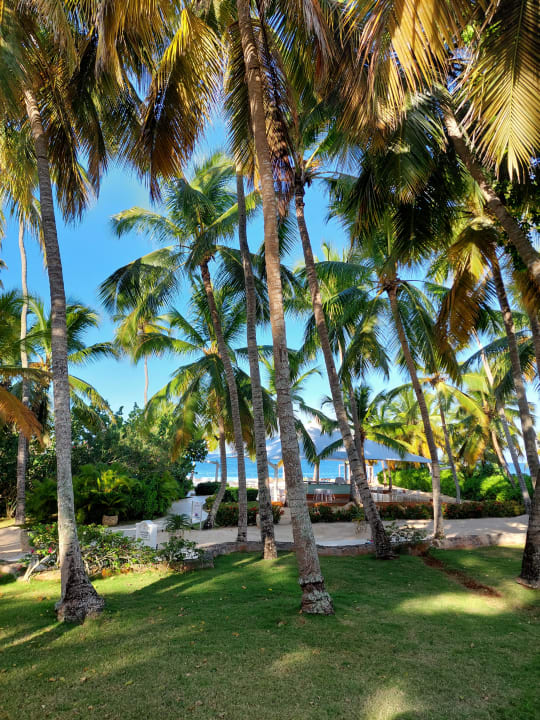 Ausblick Hotel Viva Dominicus Beach by Wyndham - All Inclusive Resort