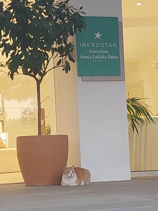 Außenansicht Iberostar Selection Santa Eulalia Ibiza