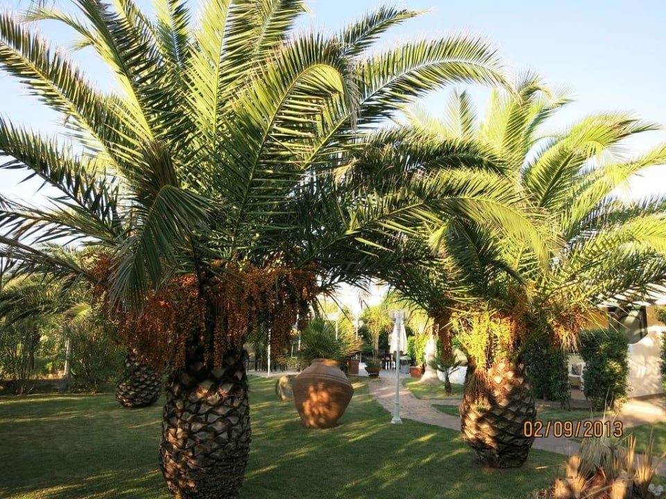 Gartenanlage Park Hotel La Villa