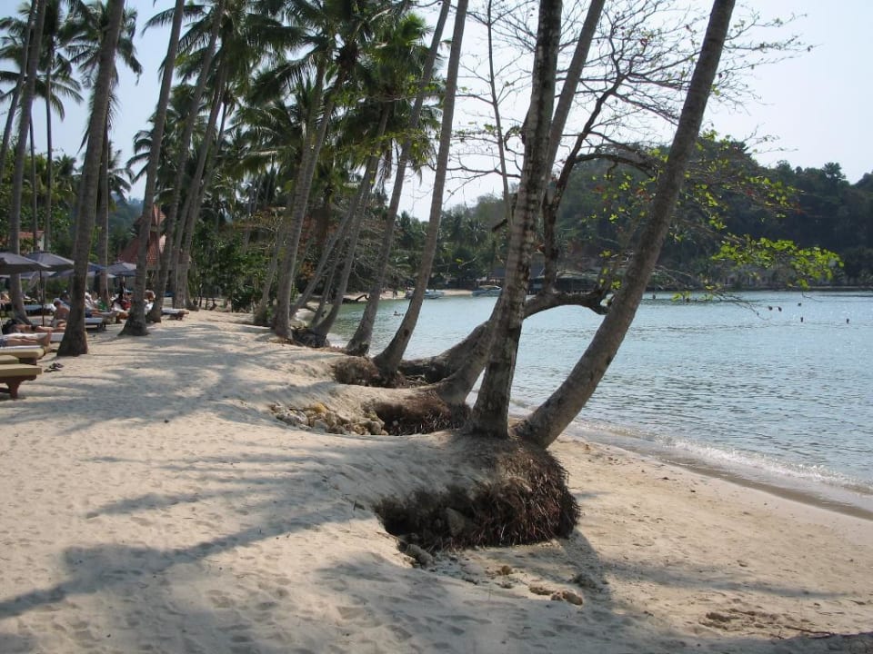 Da gibt es aber bestimmt schönere Strände! Dinso Resort & Villas Ko Chang, Vignette Collection by IHG