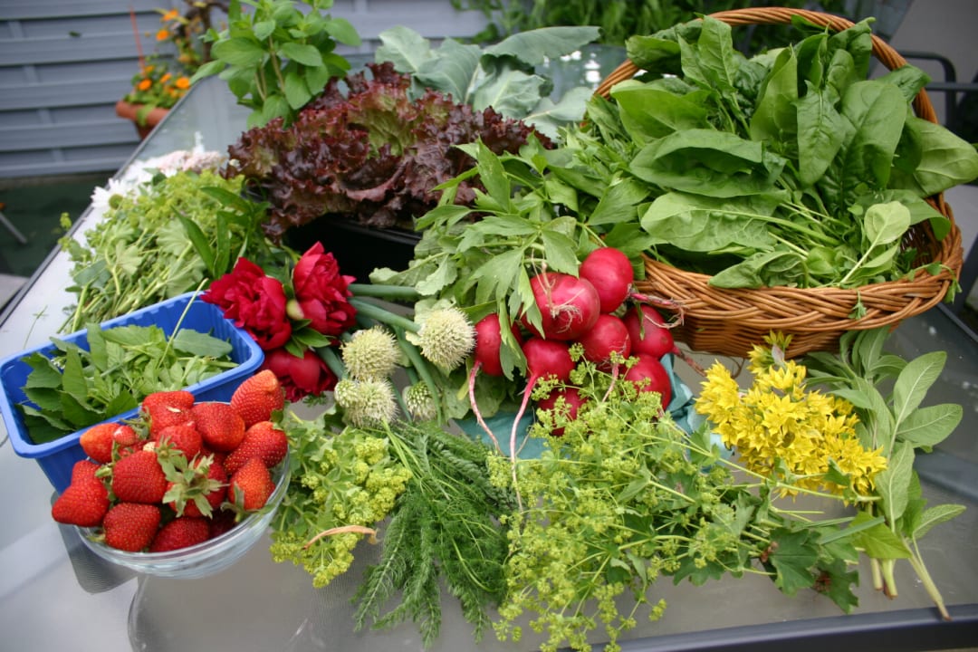 Gartenanlage Gasthof & Pension Dittmannsdorf